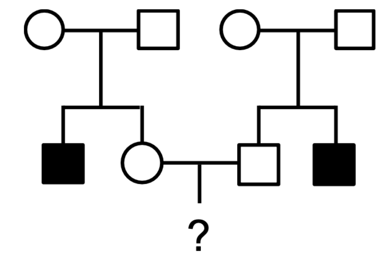 <p>If the trait shown in the pedigree at right is X-linked recessive, what is the probability that a child of II-2 and II-3 will be affected?</p><ul><li><p>0</p></li><li><p>1/8</p></li><li><p> 1/4</p></li><li><p> 1/64</p></li><li><p> 1/16</p></li></ul><p></p>