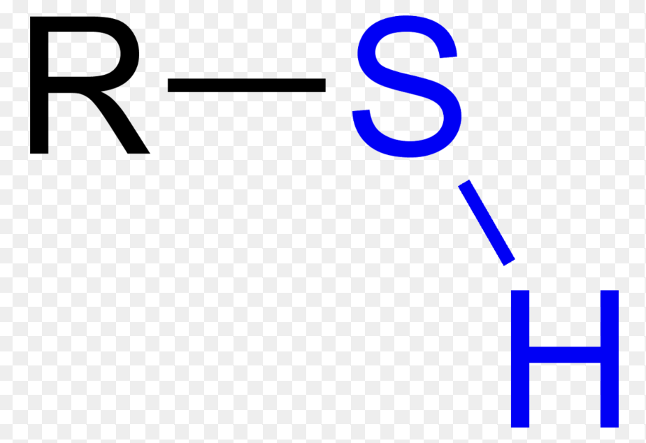 <p></p>