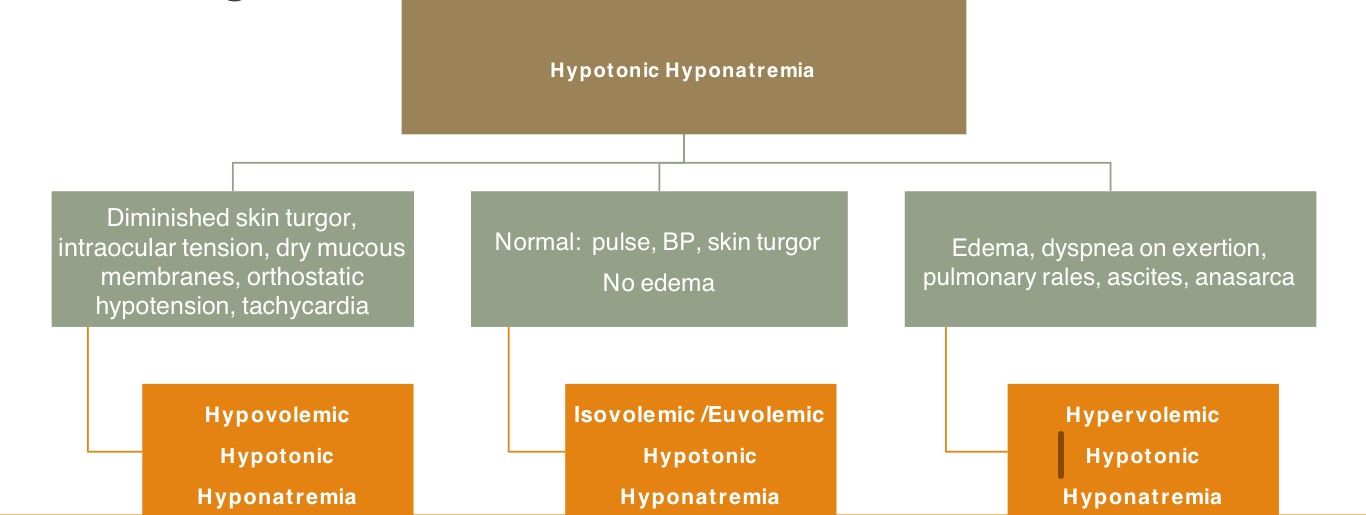 <p>Step 1: Assess <strong>Volume Status</strong></p>