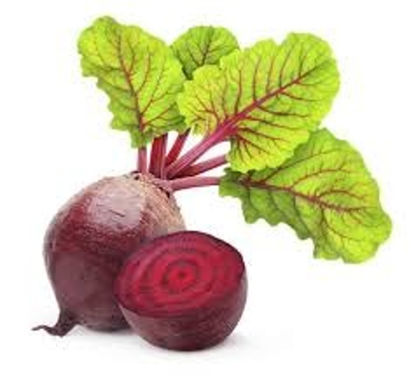 <p>beet</p>
