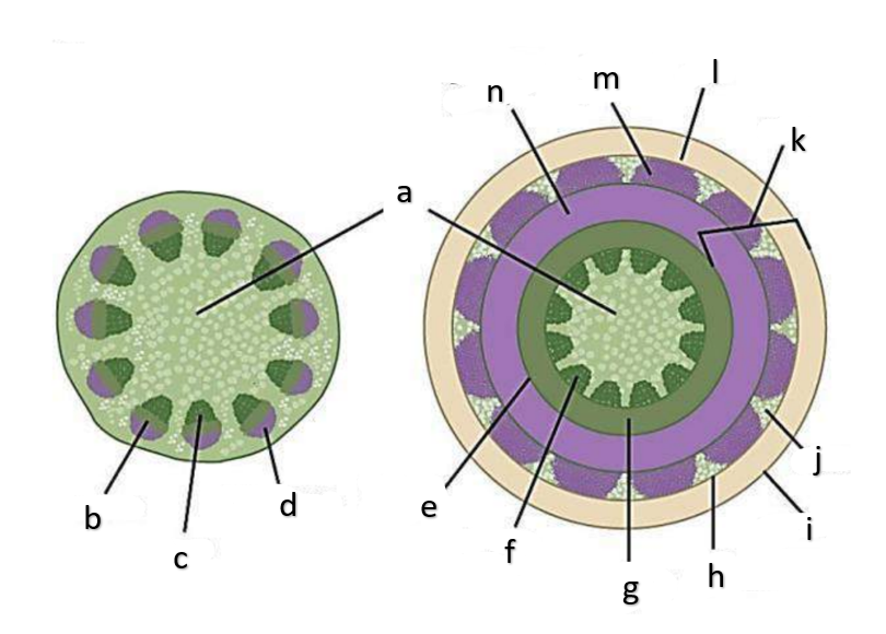 <p>k</p>