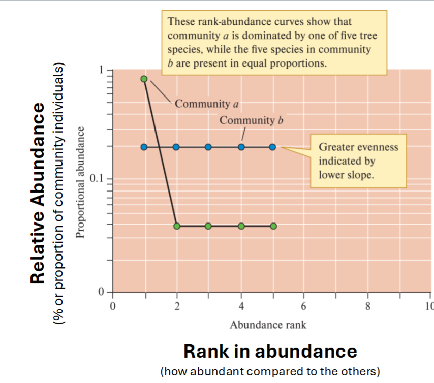 <p>Assessing <strong><em><u>evenness </u></em></strong>graphically</p><ul><li><p>Plot of relative abundance of species against their rank in abundance (rank species based on abundance)</p></li><li><p>High Abundance is plotted on the LEFT side</p></li></ul><p></p><p>Evenness = How FLAT the line is (more flat = more even)</p><p>Richness = How LONG the line is (more long = more rich)</p>