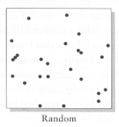 <p>(pic)</p>