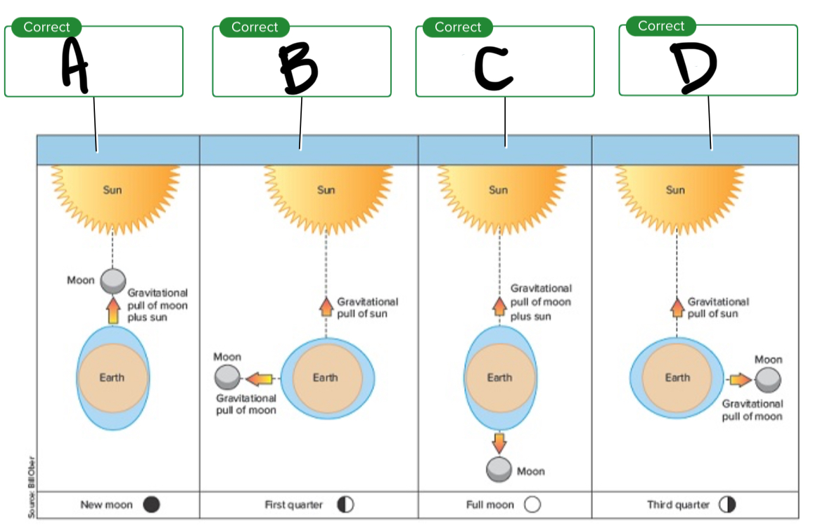 <p>For the tides, what is D?</p>