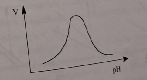 <ol><li><p><span>🫟</span><span data-name="man_shrugging" data-type="emoji">🤷‍♂</span><span> </span>Optymalny poziom pH dla większości enzymów występuje <strong>w okolicach odczynu obojętnego.</strong><br>W <strong>wyjątkowych przypadkach</strong> optimum przypada na odczyn kwasowy lub zasadowy;</p></li><li><p><span data-name="shuffle" data-type="emoji">🔀</span><span data-name="jigsaw" data-type="emoji">🧩</span><span><span> </span></span>pH powoduje również <strong>dysocjację podjednostek enzymów oligomerycznych</strong>;</p></li><li><p><span data-name="broken_chain" data-type="emoji">⛓‍💥</span><span data-name="baby_bottle" data-type="emoji">🍼</span><span> </span>Skrajne wartości pH powodują denaturację białka enzymatycznego.</p></li></ol><p></p>