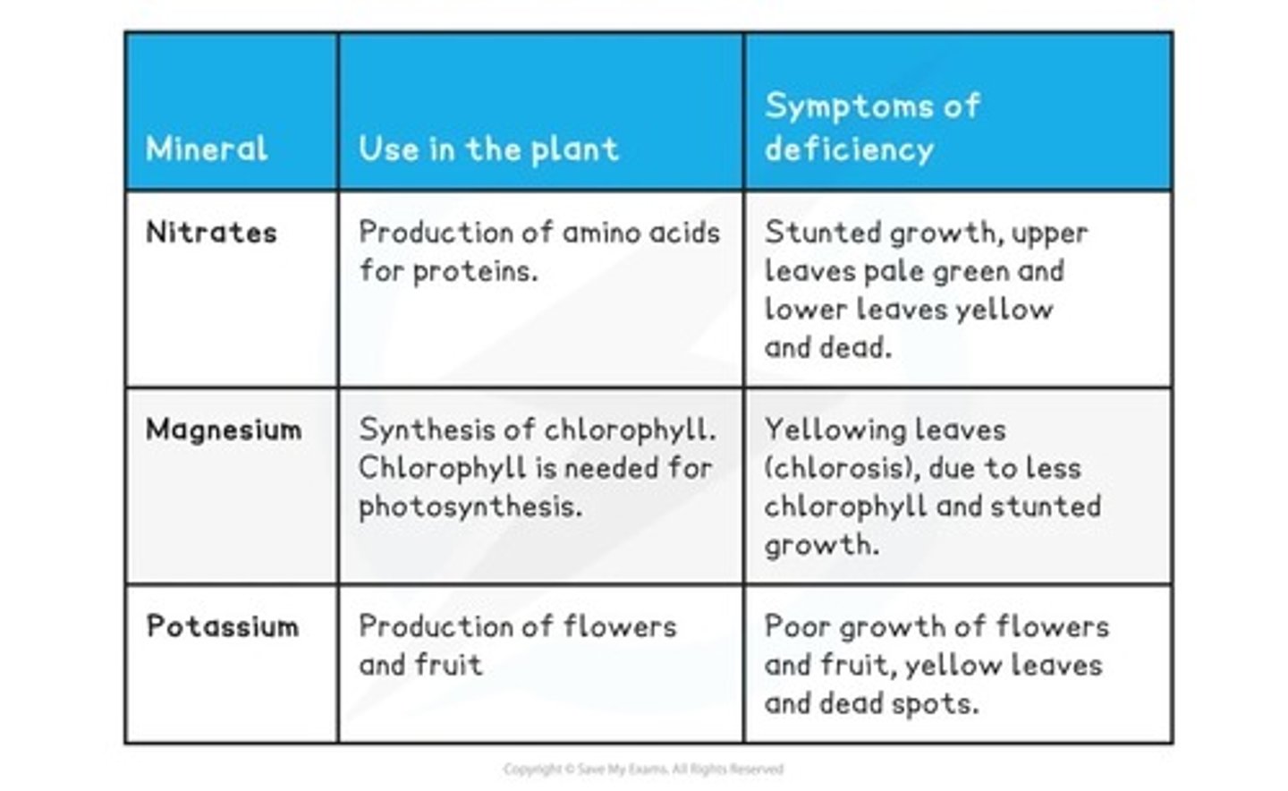 <p>- source of nitrogen used to make amino acids to build proteins for growth</p><p>- causes stunted growth and yellowing of leaves</p>