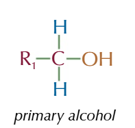 <p>OH group attached to a carbon with 1 AKYL</p>