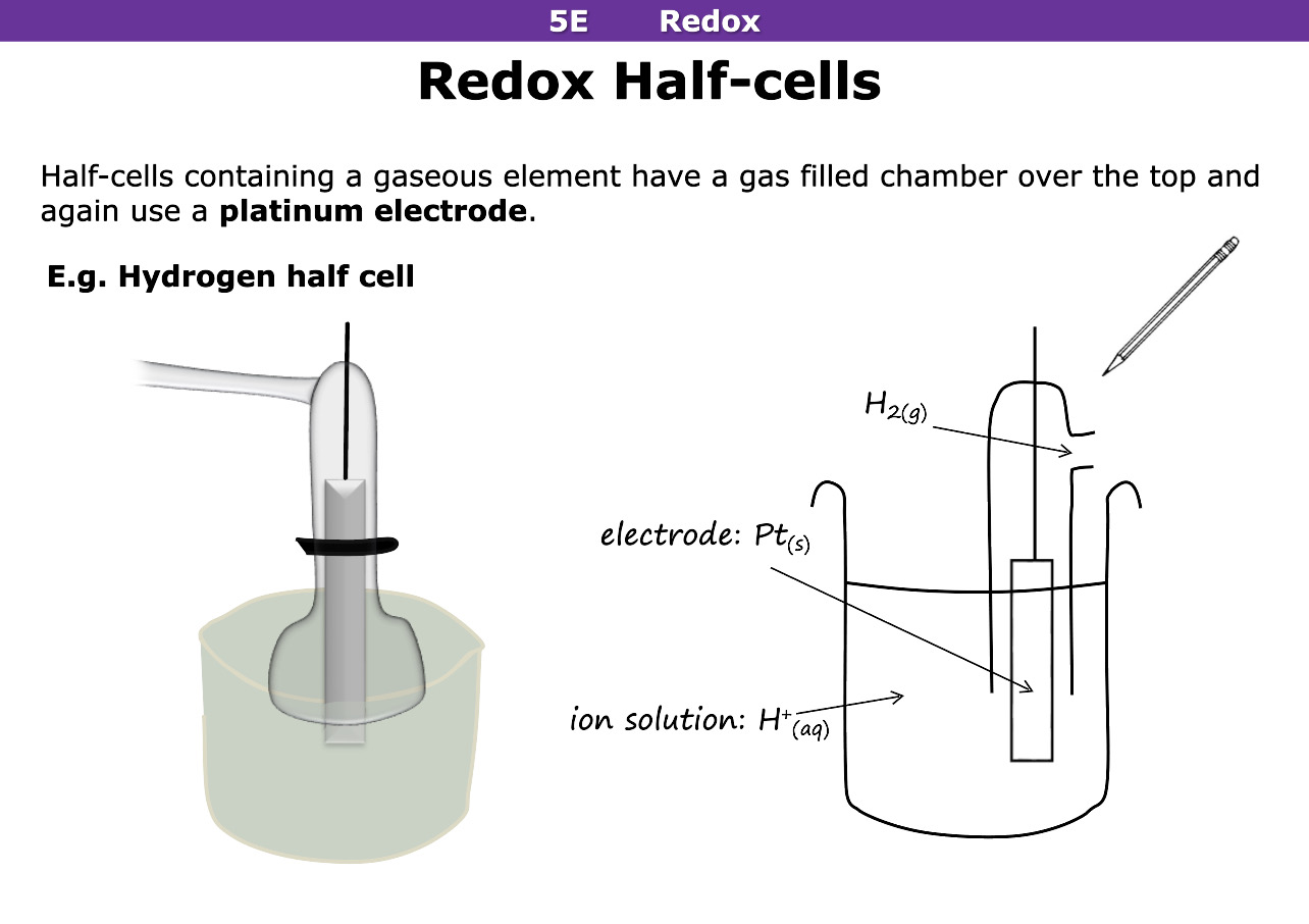 <p>Gas filled chamber</p>