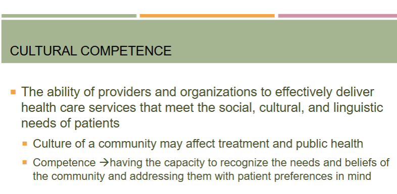 <p>the ability of providers and organizations to effectively deliver health care services that meet the social, cultural, and linguistic needs of patients</p>
