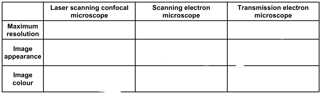 term image