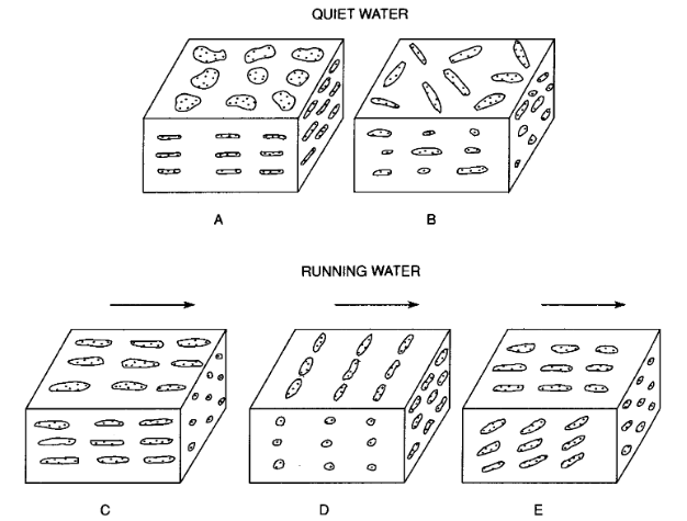 <p>Grain orientation (water)</p>
