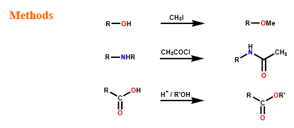 <p>by masking a polar functional group with an alkyl or acyl group:</p><ul><li><p>decrease polarity</p></li><li><p>increase hydrophobic character</p></li></ul>