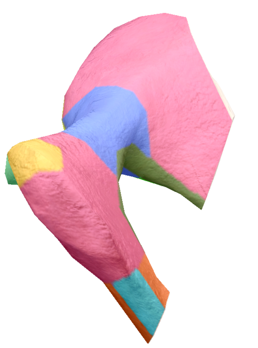 term image
