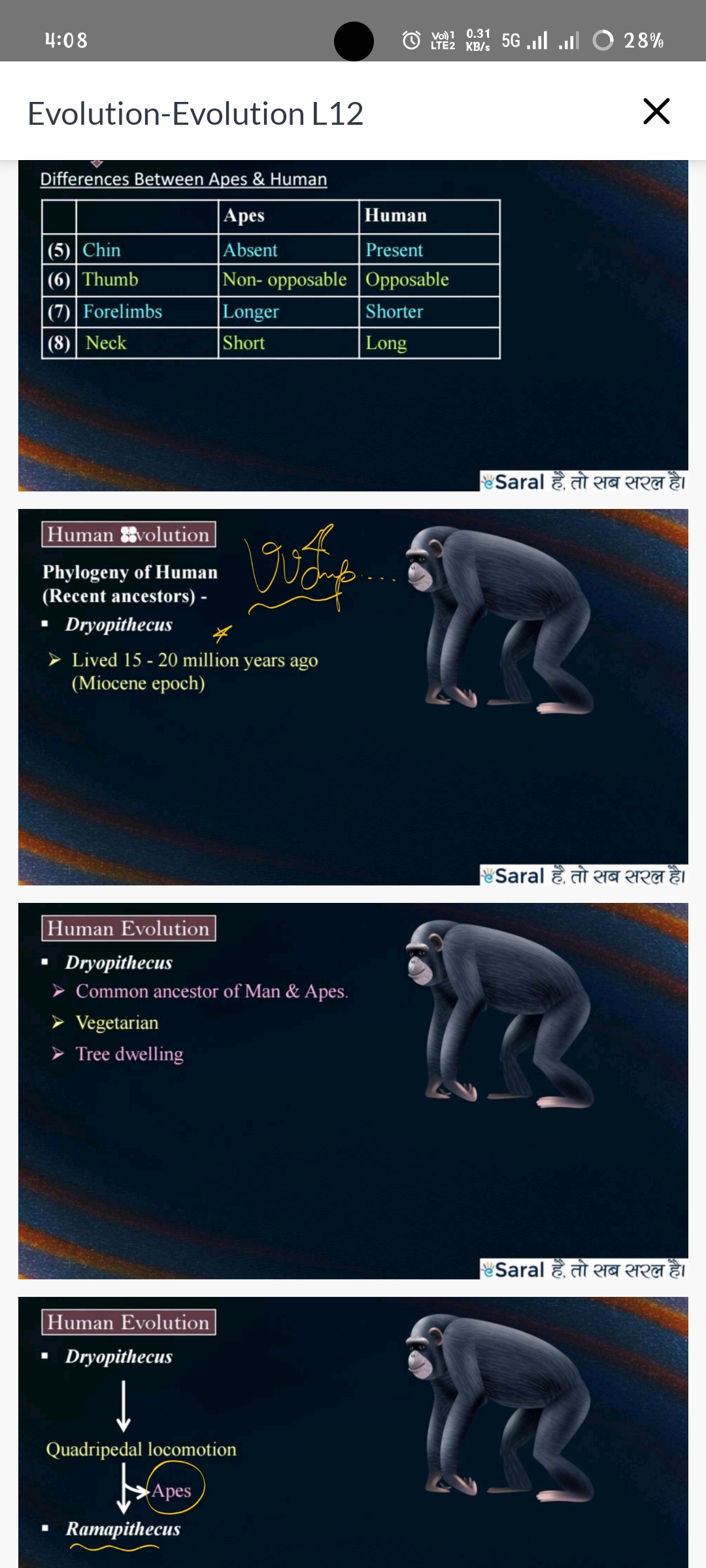 knowt flashcard image