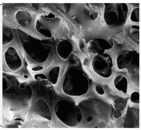 1. Internal (deep) portion of bones
2. Surrounded by marrow
3. Typically near joints 
4. More air pockets than compact bone
5. Good shock absorption