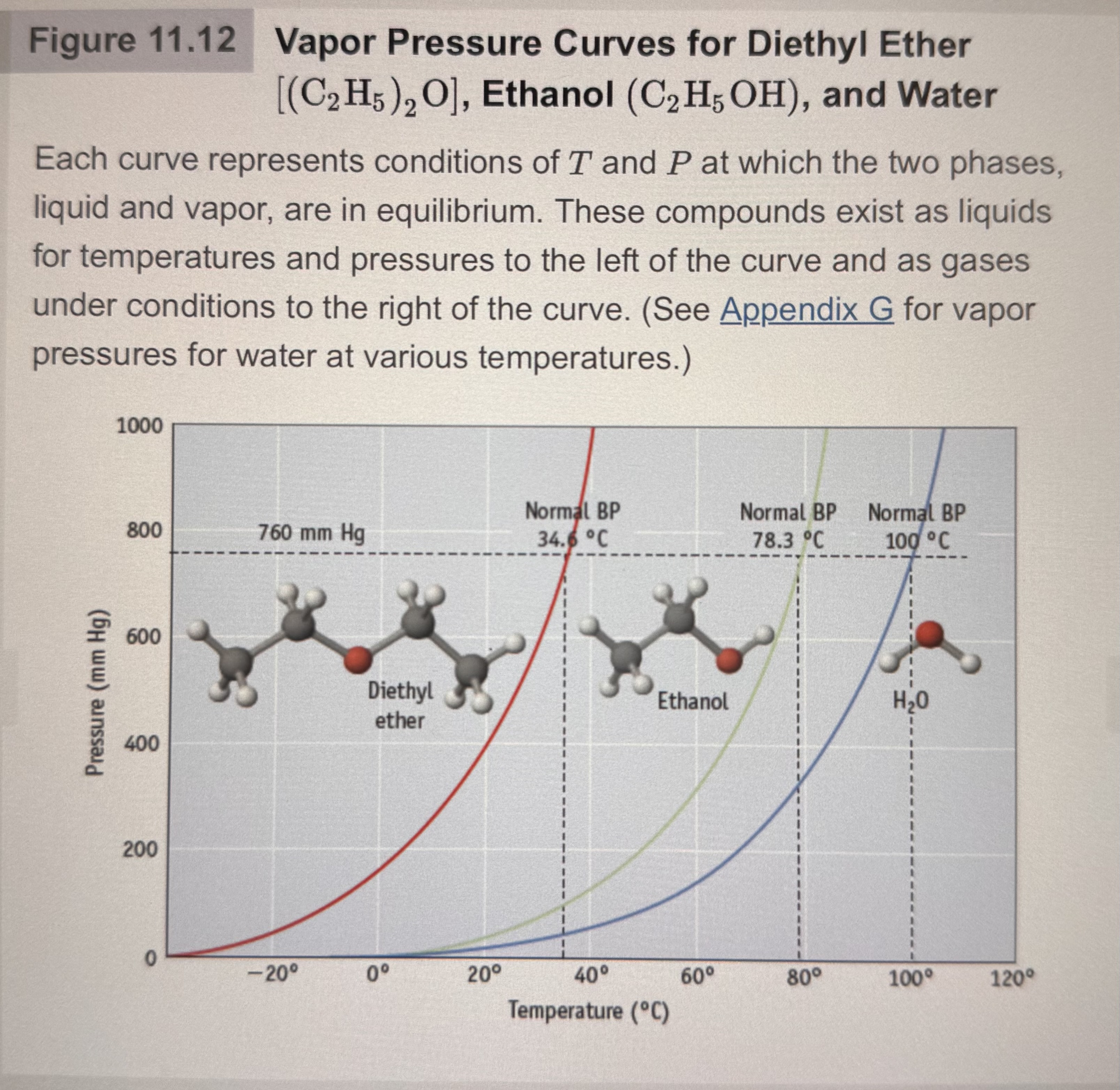 <p>The left of the graph the compounds exist as liquids for temperature and pressures. To the right are gasses under higher conditions.</p>