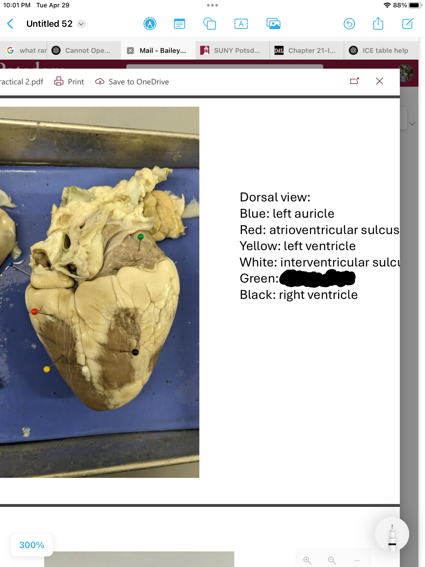 <p>label the area</p>