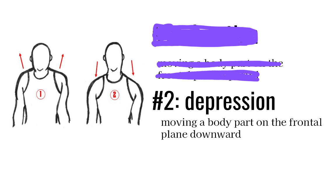<p>Moving a body part downward</p>