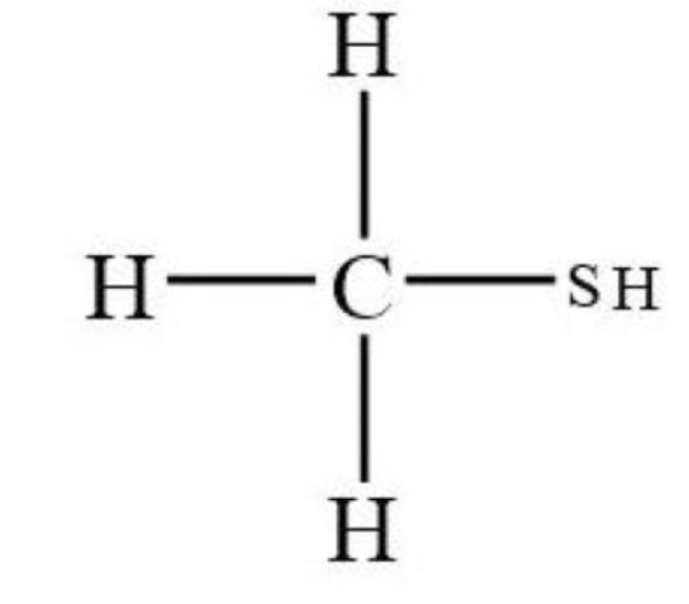 <p>A SH bonded to a Carbon</p>