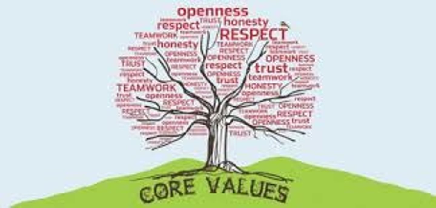 <p>A principle that guides an organization's internal conduct as well as its relationship with the external world</p>