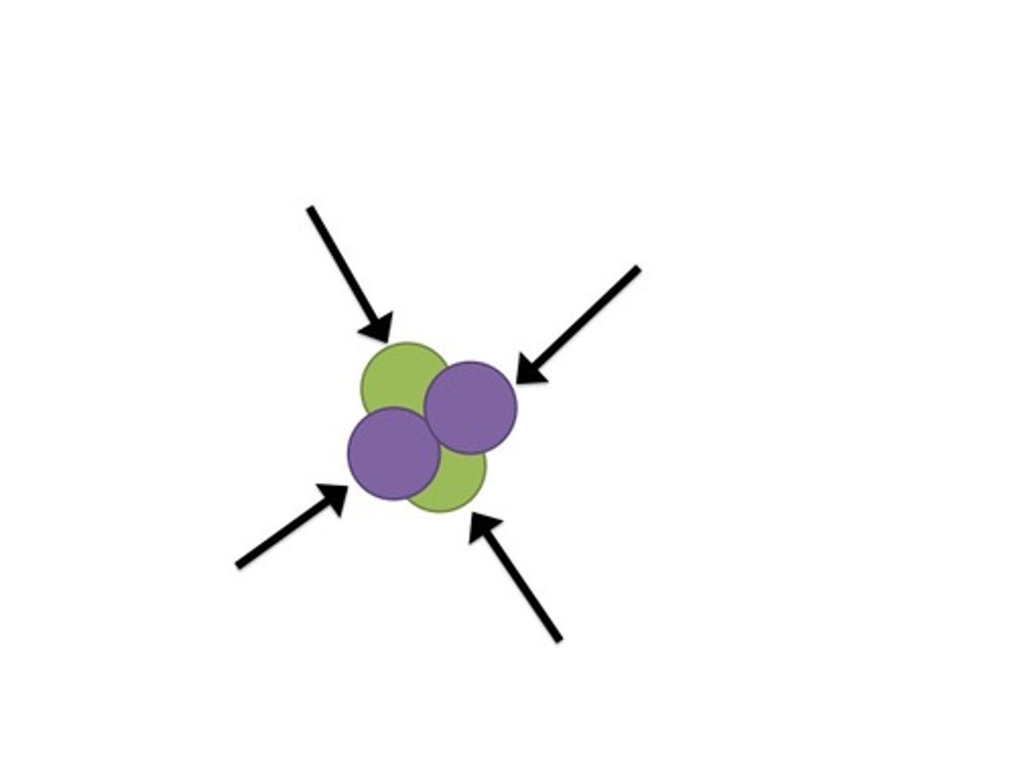 <p>holds the nucleus together</p>