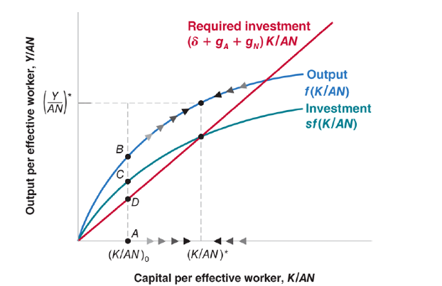 <p>Capital per effective worker and output per effective worker converge to constant values in the long run.</p>