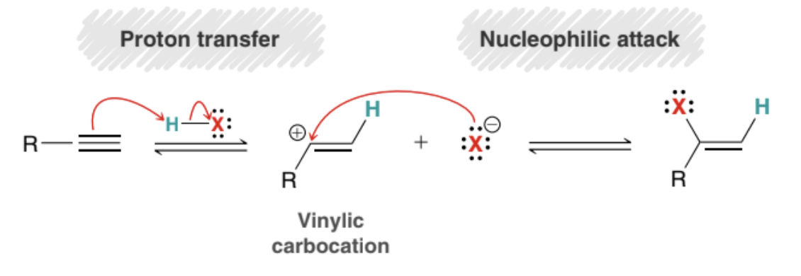 <ol><li><p>Protonation to form a carbocation (Proton transfer)</p></li><li><p>Nucleophilic attack</p></li></ol>
