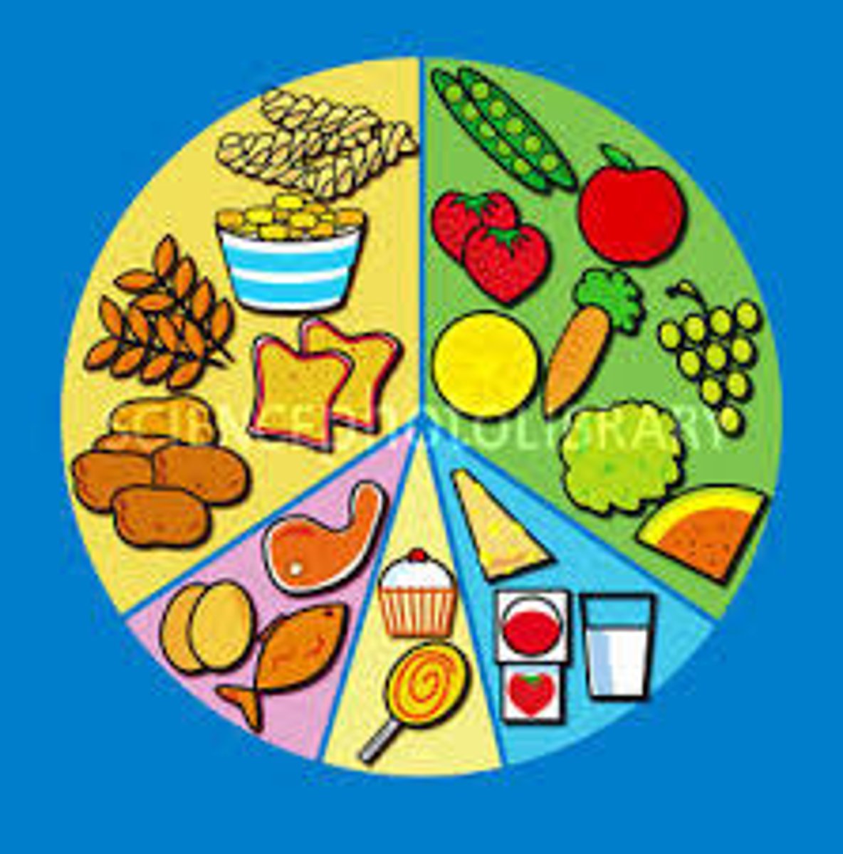 <p>to eat a balanced diet</p>