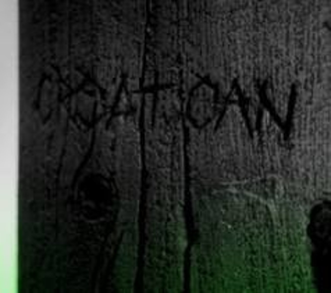 <p>Nobody was there and the word Croatoan was carved into a tree.</p>