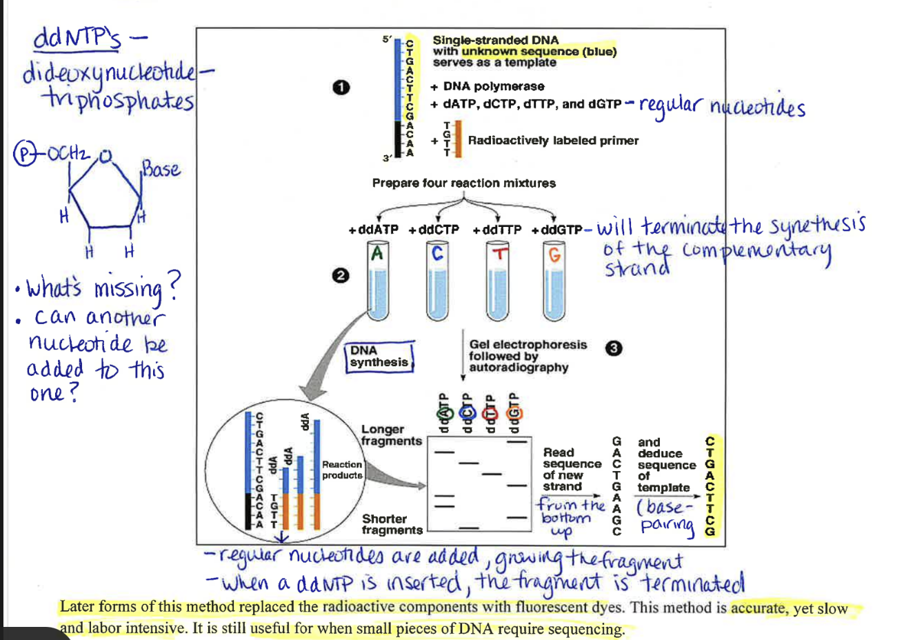 <p>I don’t even know if we needa know this but here’s the diagram<br></p>