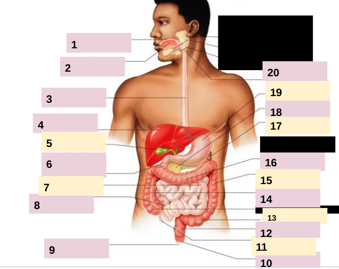 <p>18</p>