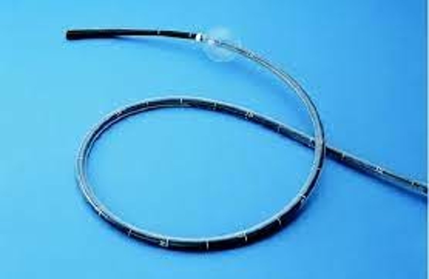 <p>examines the small intestine</p>