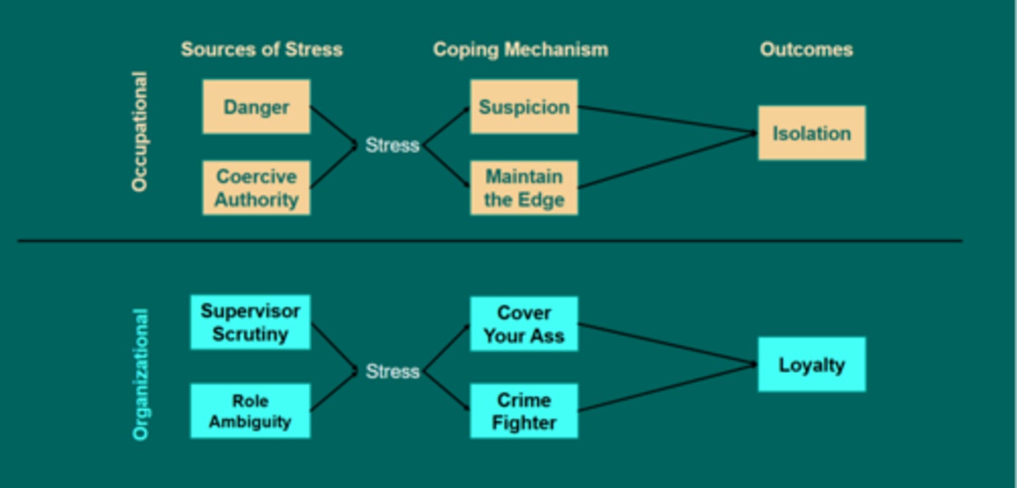 <p>- occupational stressors lead to social isolation</p><p>- organizational stressors lead to in-group loyalty</p>
