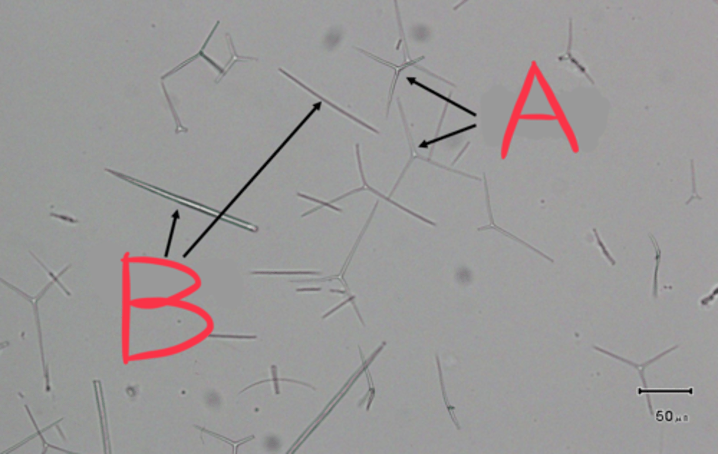 <p>What is this?</p>