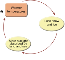 <ul><li><p>The fraction of solar energy reflected by a surface</p></li><li><p>Bright surfaces like ice have high albedo; darker surfaces absorb more heat</p></li></ul><p></p>