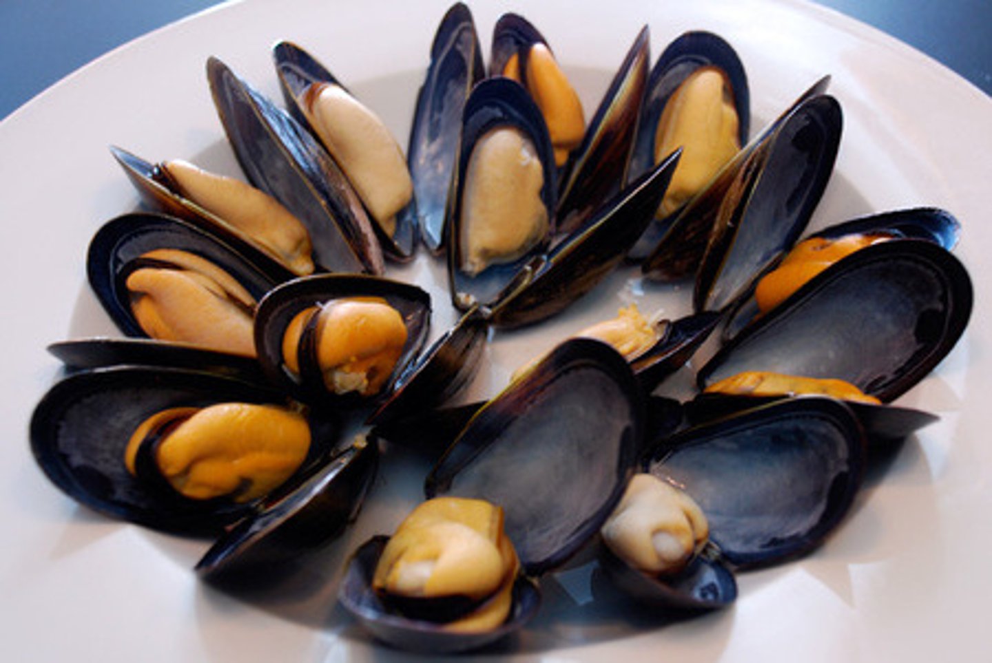 <p>mussels</p>