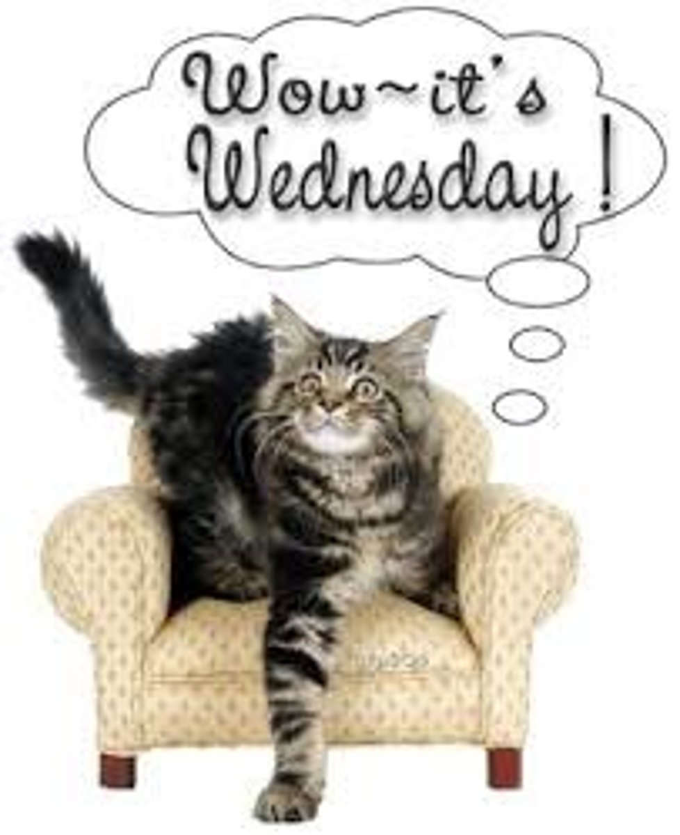 <p>Wednesday</p>