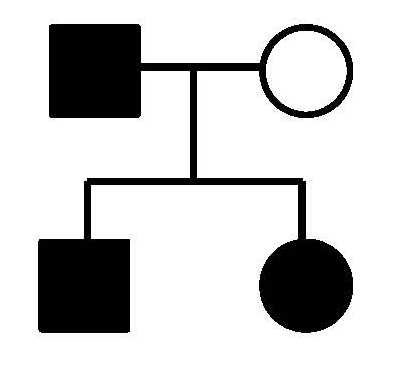 Is the inheritance pattern indicated by the shaded symbols in this pedigree consistent with the inheritance pattern of a Y-linked characteristic?