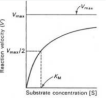 -There is a certain amount of active sites for the increasing amount of substrate
-at first there's a lot of production because of the high enzyme to substrate ratio
-as substrate is added, there’s not enough enzymes to keep up with the inc in substrate so the rate slows
-Explain how would you increase the reaction rate: increase enzyme concentration to make more active sites available for substrate 
