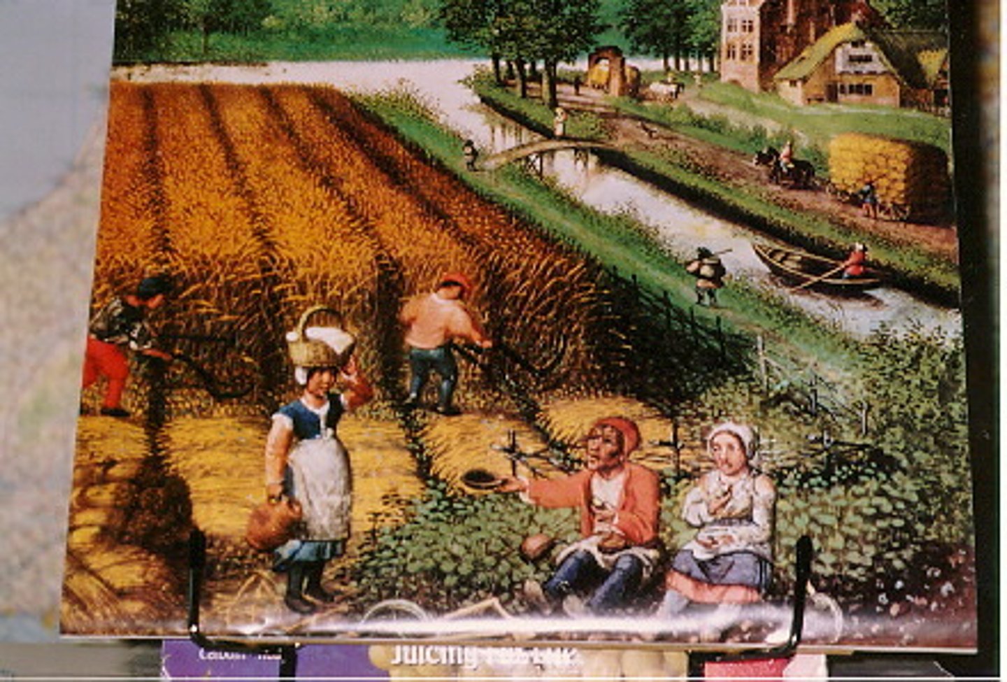 <p>a medieval peasant legally bound to live and work the land on a lord's estate.</p>