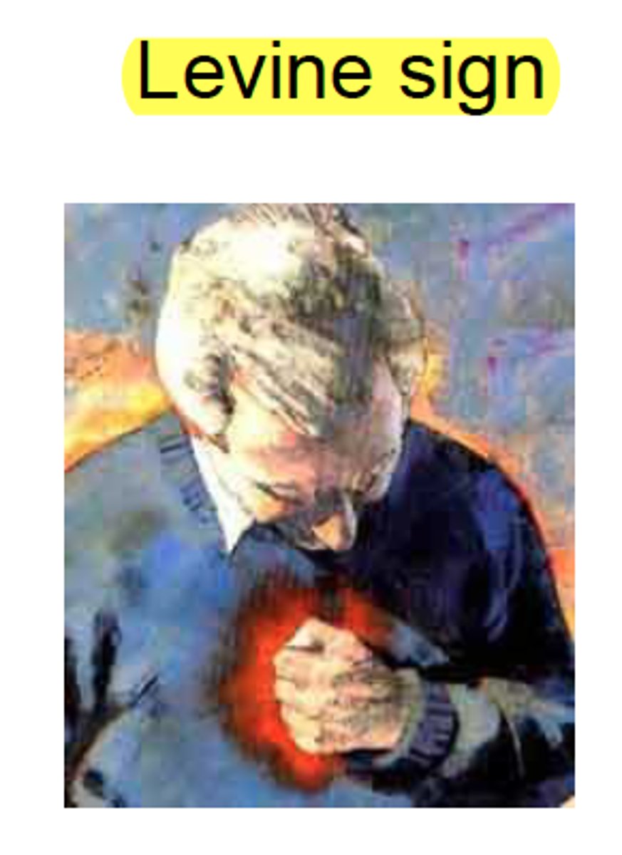 <p>present in angina</p>