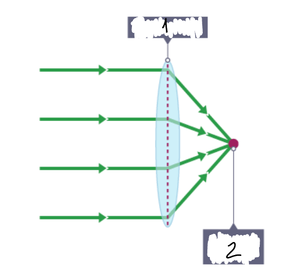 <p>What part of the convex lens is <strong>2</strong>?</p>
