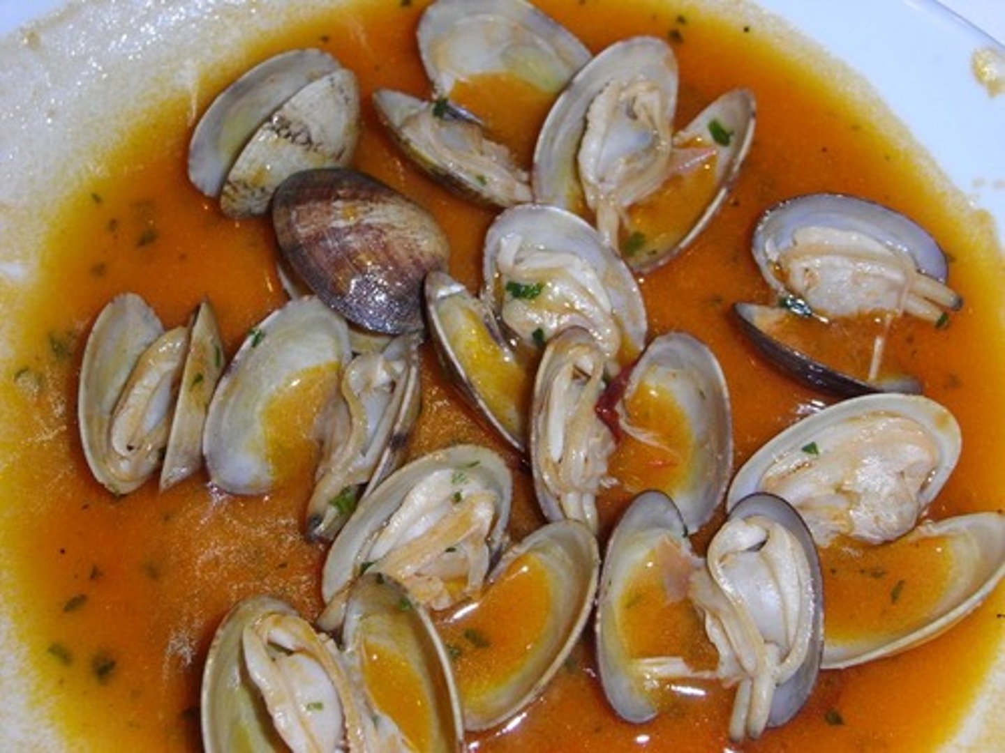 <p>clams</p>
