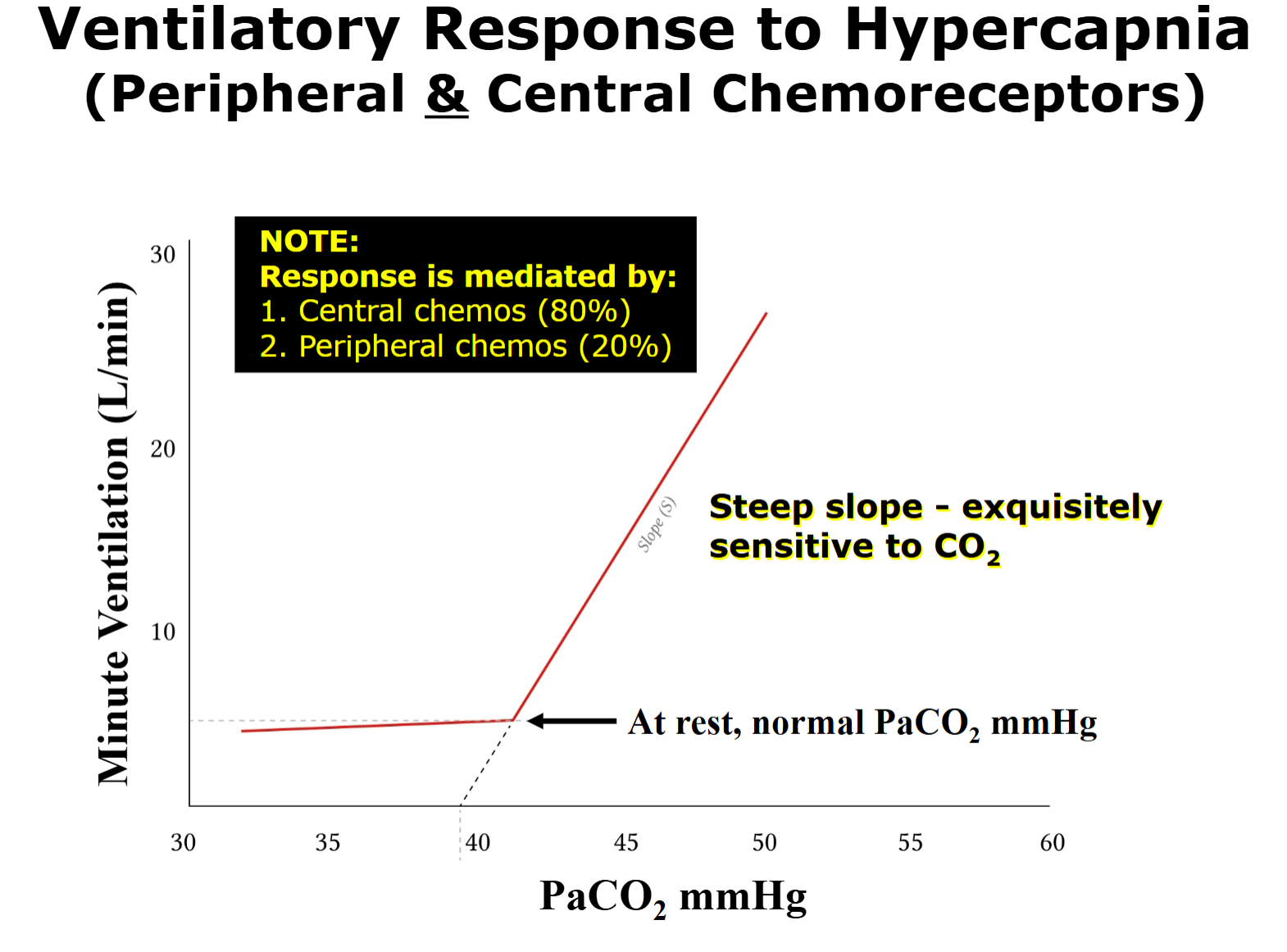 <p><span>Increases minute ventilation by acting on brainstem respiratory network, an increase in PaCO2 above 42 mmHg → steep increase in minute ventilation mainly driven by central chemoreceptors.&nbsp;</span></p><p><span>80% central &amp; 20% peripheral chemoreceptors</span></p>