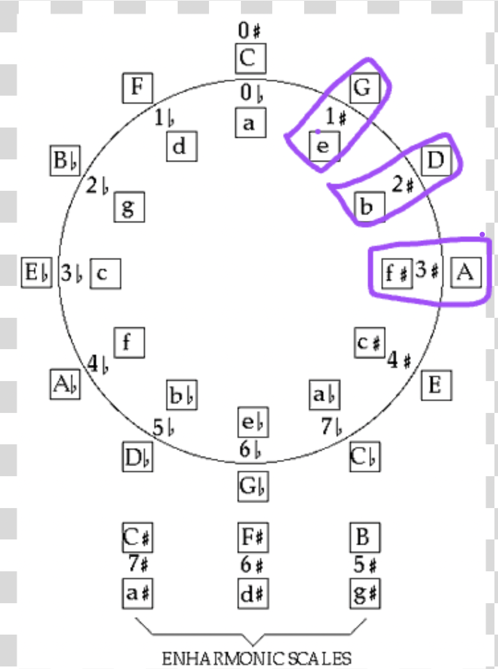 <p>the minor scales within the inner circle, beside the major key</p>