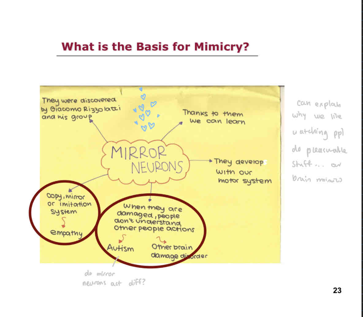 <p>Mirror neurons:</p><ul><li><p>Discovered by Biacomo Rizzolatti</p></li><li><p>Thanks to them we can learn</p></li><li><p>They develop with out motor system</p></li><li><p>When they are damaged, people don’t understand other people’s actions: Related to autism and other brain damage disorders</p></li><li><p>Copy, mirror, imitation system: Related to empathy</p></li></ul>