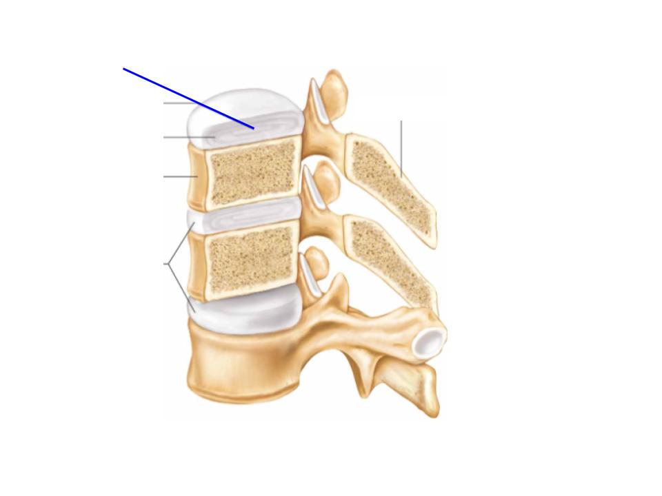 <p>What is this image pointing at? </p>