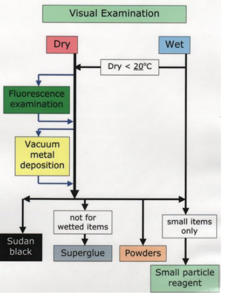<p>Wax &amp;</p><p>Wax surface</p>