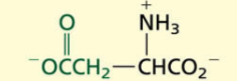<p>Acidic</p><p>POLAR→ negative charged</p>