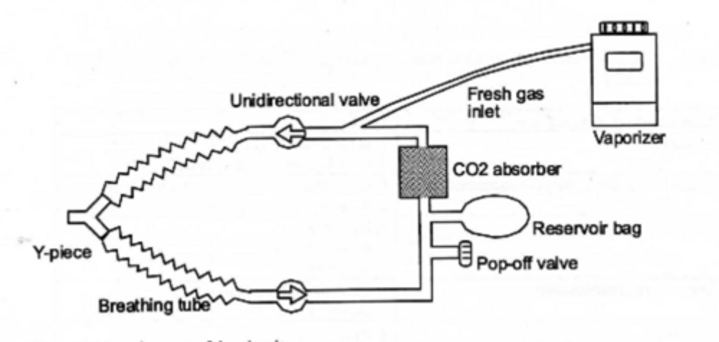 <p>Fresh gas inlet,</p><p>One way valves,</p><p>Breathing tube/Y piece,</p><p>CO2 absorber,</p><p>APL (pop-off), and</p><p>Reservoir</p>